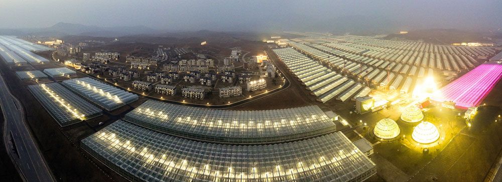 Kaleidoscopic Pyongyang in Great Kim Jong Un ’s Era - Image 8