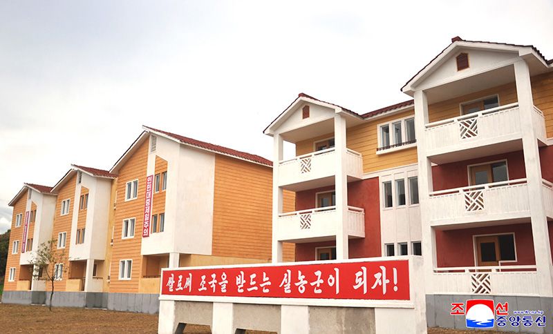 New houses built in Unjong Stockbreeding Farm of North Hwanghae Province - Image 2