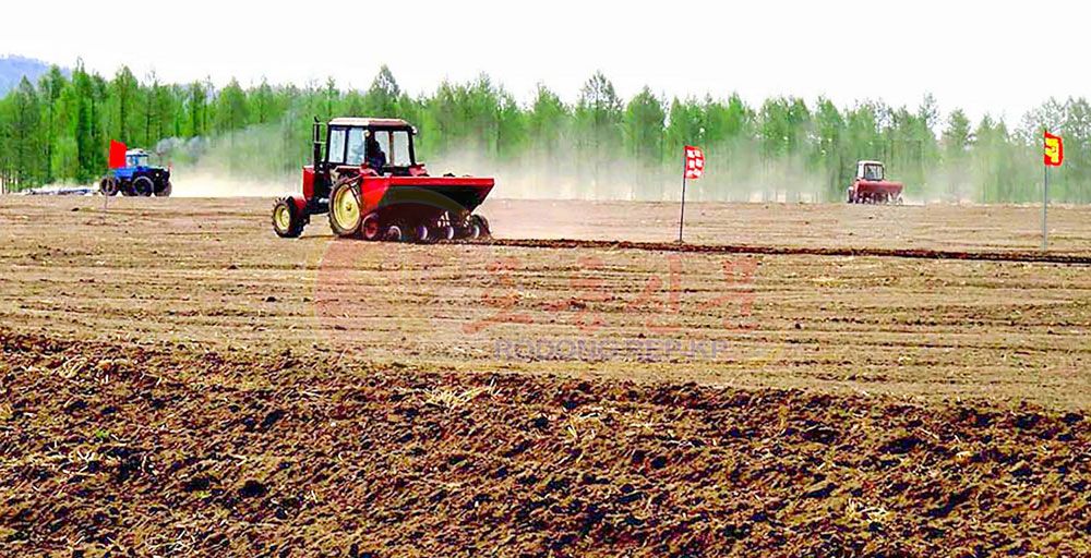 Potato Planting Begins in Ryanggang Province