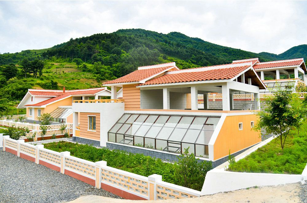 Output of Dairy Products Boosted in Pyongyang - Image 2