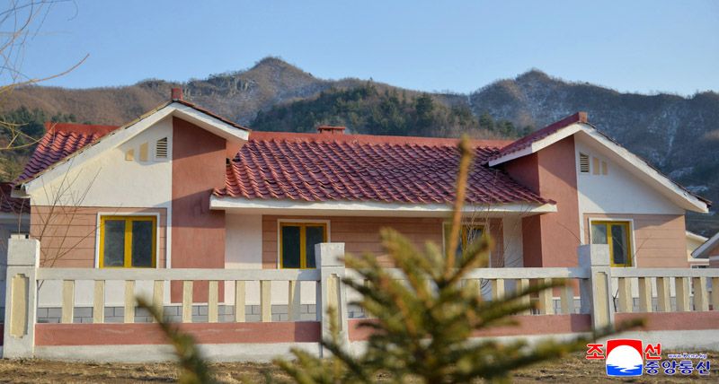 Today's News - Image 133