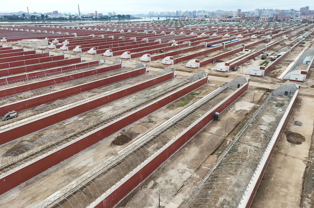 Respected Comrade Kim Jong Un Gives Field Guidance at Construction Sites of Wihwado Combined Greenhouse Farm and Permanent Embankments in Island Area - Image 7