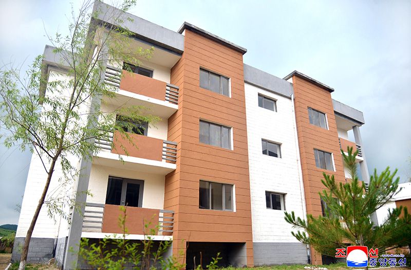 Farmers in Kangwon Province of DPRK Move into New Houses - Image 4