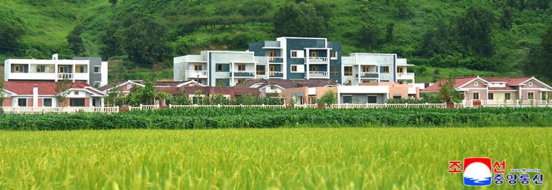 New villages built in Kosong County of Kangwon Province - Image 6