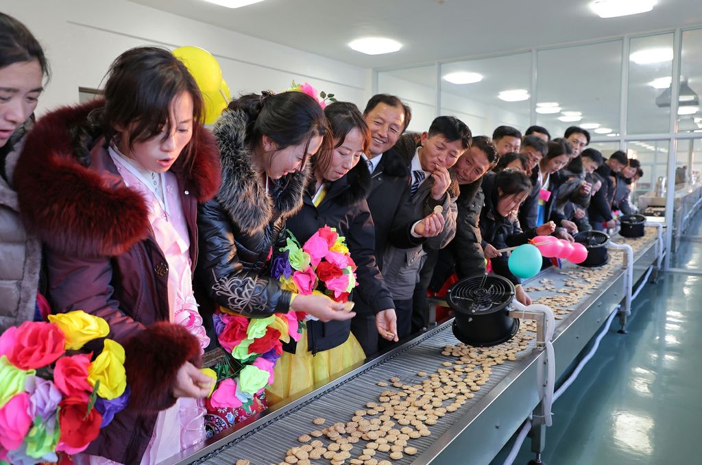 Regional-Industry Factories Inaugurated with Splendor in Sinpho City of DPRK - Image 24