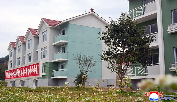 New houses built in Ragwon County - Image 2