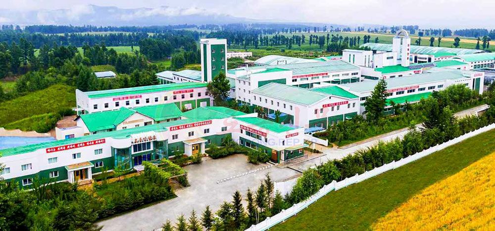 Taehongdan County Potato Processing Factory Modernized