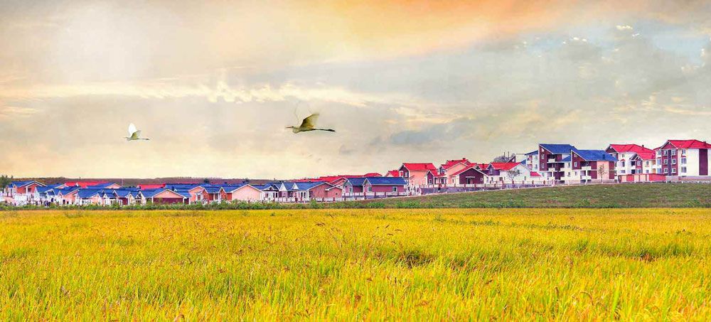 New Houses Built in Kangnam County - Image 3