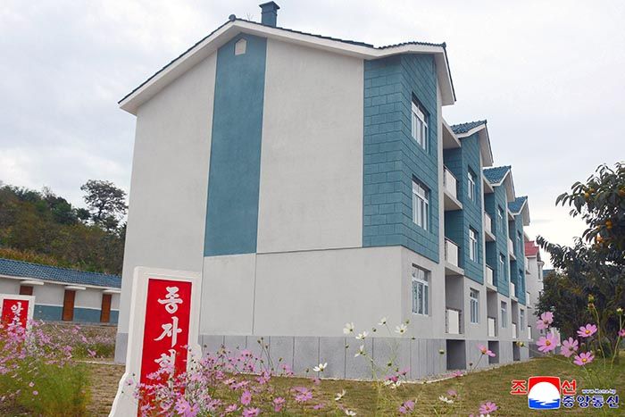 New houses built in Ragwon County