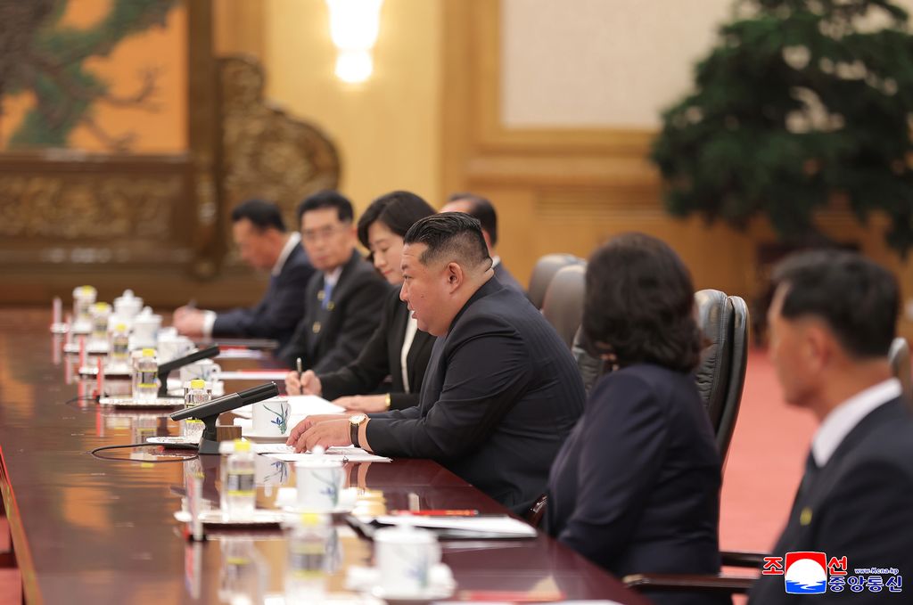 RespectedComrade Kim Jong Un has talks withComradeXi Jinping - Image 6