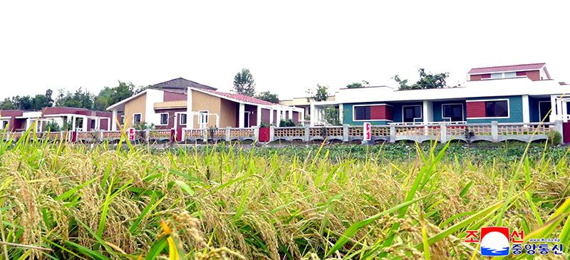 New houses built at farms of North Hwanghae Province - Image 3