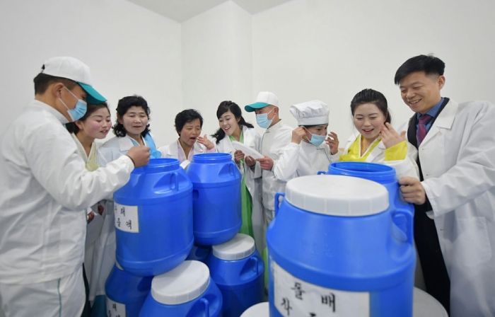 Regional-industry Factories Inaugurated in Ichon County of DPRK - Image 13