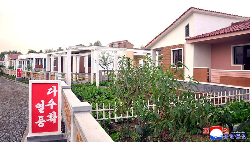 New houses built at farms of North Hwanghae Province - Image 5