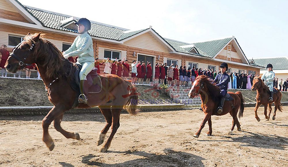 Day of Sun Celebrated in DPRK - Image 5