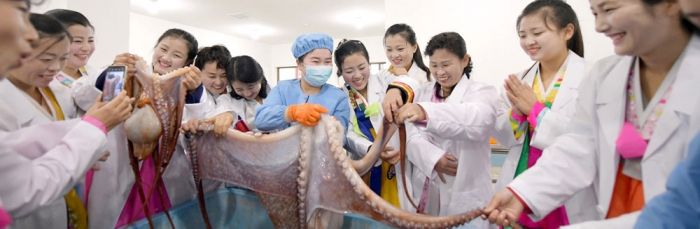 Regional-Industry Factories Inaugurated in Orang County of DPRK - Image 11