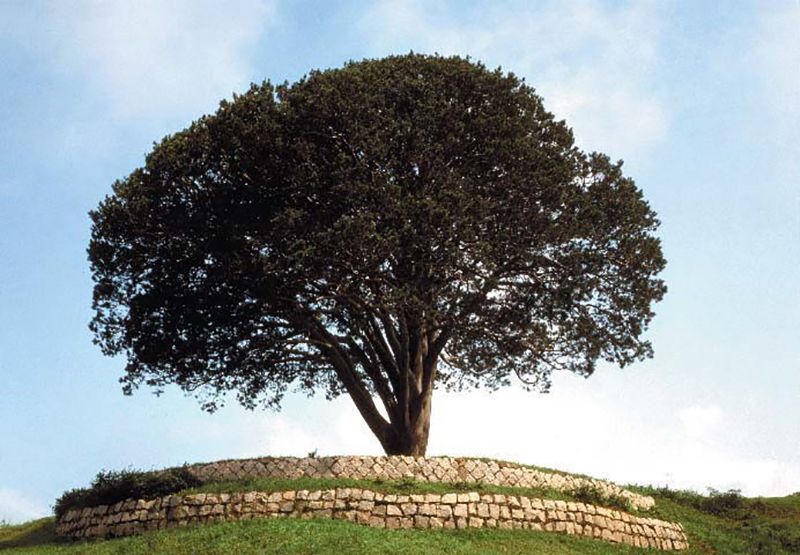 Today's News - Image 80