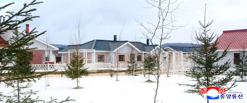 Today's News - Image 41