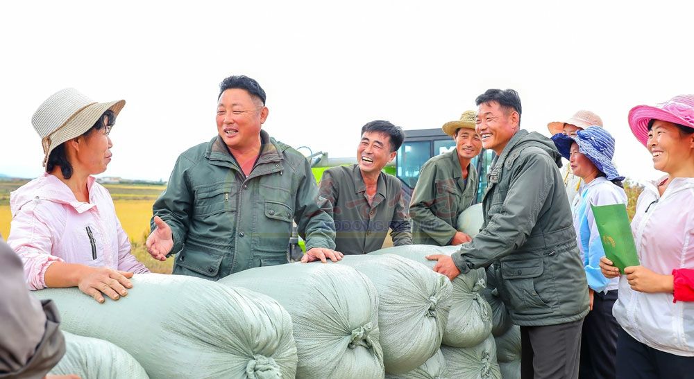 Rice Harvest Finished in DPRK