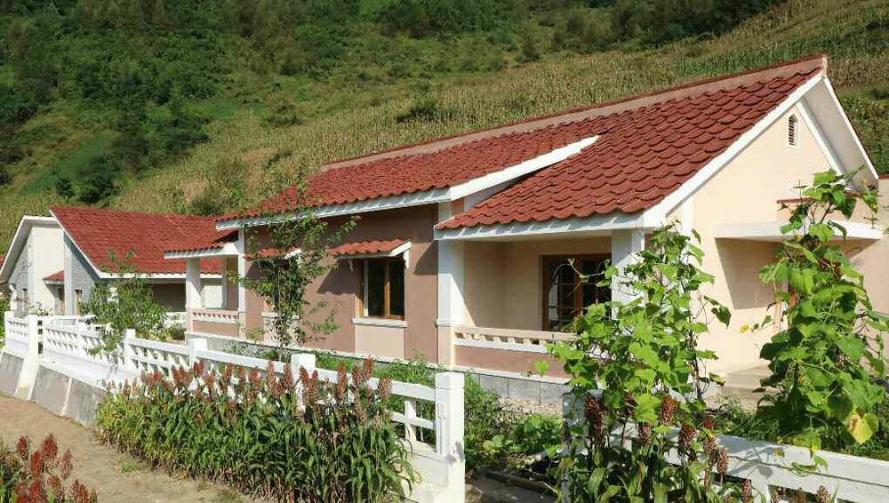 New Houses Built in Sijung County of Jagang Province - Image 3