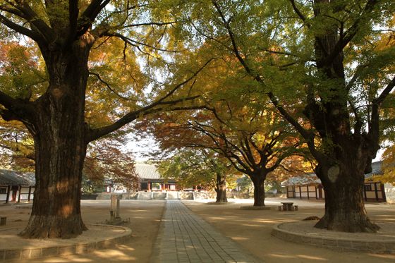 Historical Relics in Kaesong - Image 8