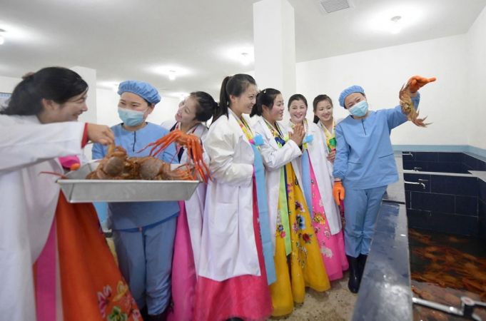 Regional-Industry Factories Inaugurated in Orang County of DPRK - Image 13