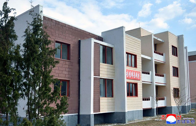 Ceremony of moving into new houses held at Kumsaem Farm of Kangwon Province - Image 3