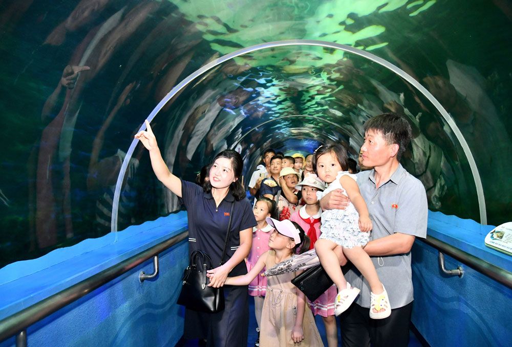 V-Day Marked in DPRK