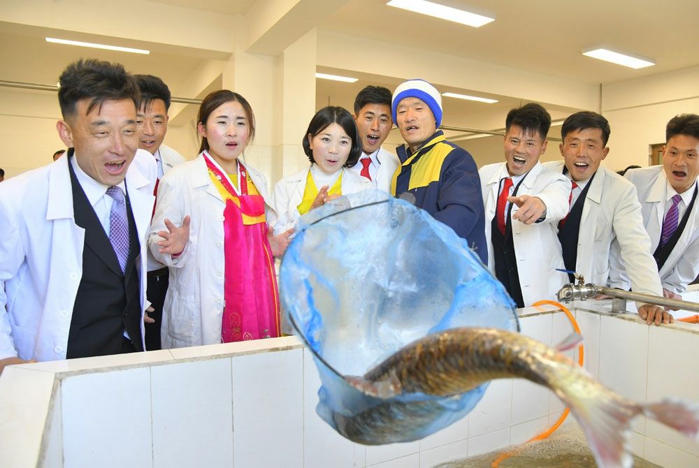 Inauguration Ceremony of Regional-Industry Factories Held in Yomju County - Image 20