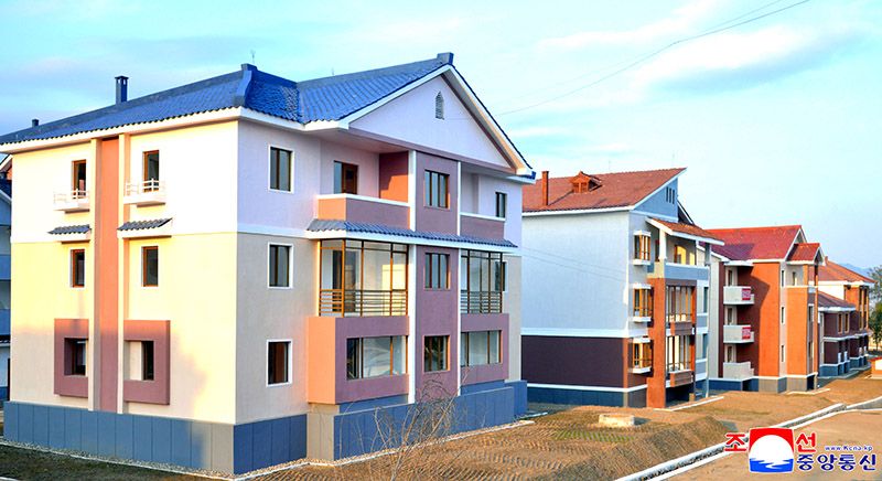 Farmers move into new houses at Nongpho Vegetable Farm in Chongjin - Image 4