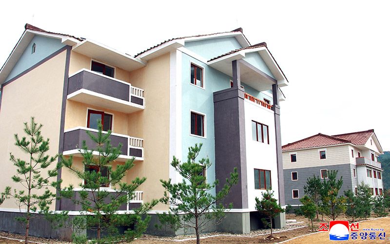 New houses built in rural area of North Hamgyong Province - Image 3