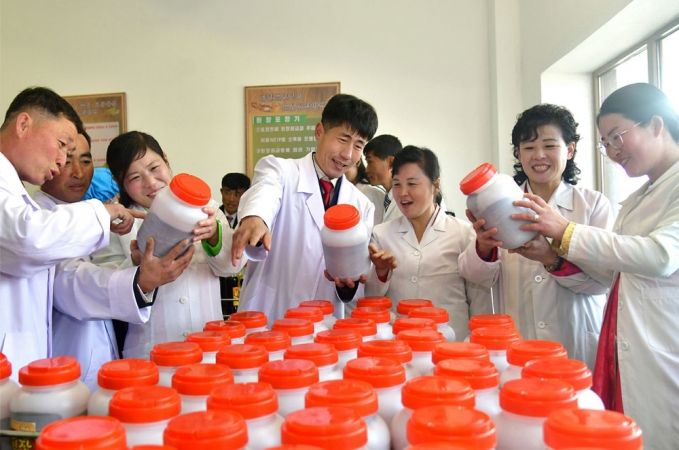 Regional-Industry Factories Inaugurated in Onchon County, Nampho Municipality - Image 14