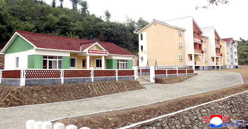 New houses built in Unjong Stockbreeding Farm of North Hwanghae Province