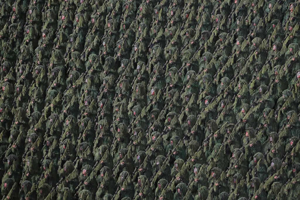 Miltary Parade Marks 80th Founding Anniversary of WPK - Image 29