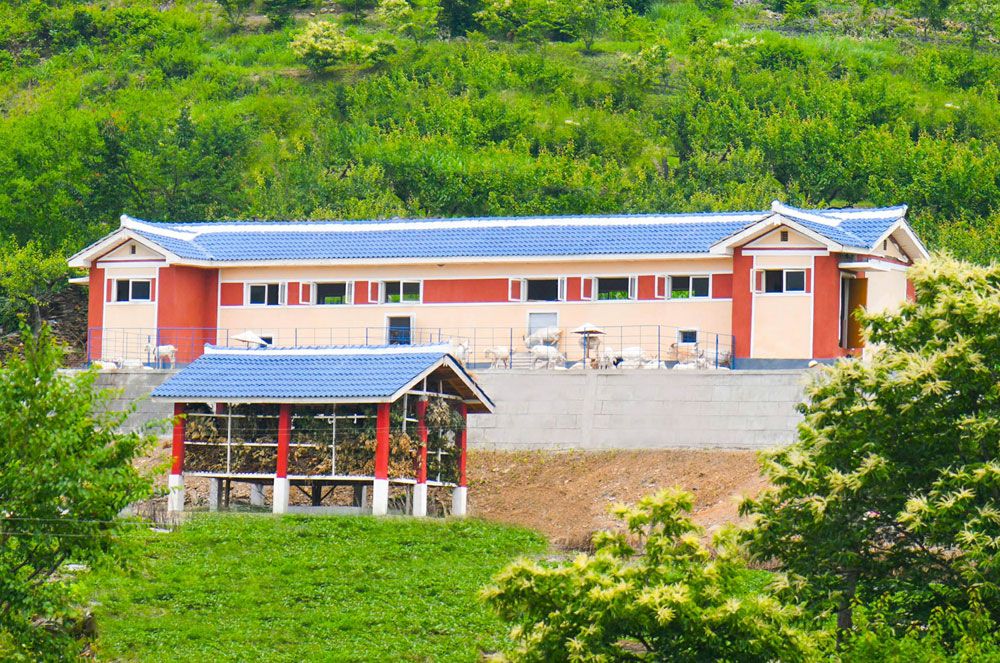 Output of Dairy Products Boosted in Pyongyang - Image 3