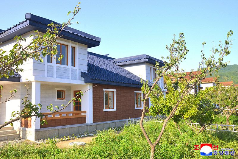 Farmers move into new houses in Hoeryong - Image 6