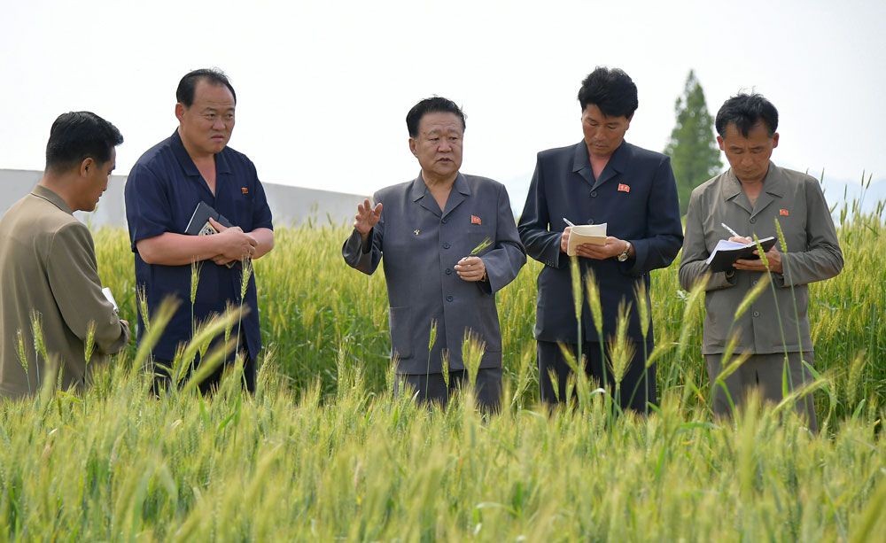 Choe Ryong Hae Inspects Various Sectors of South Hwanghae Province