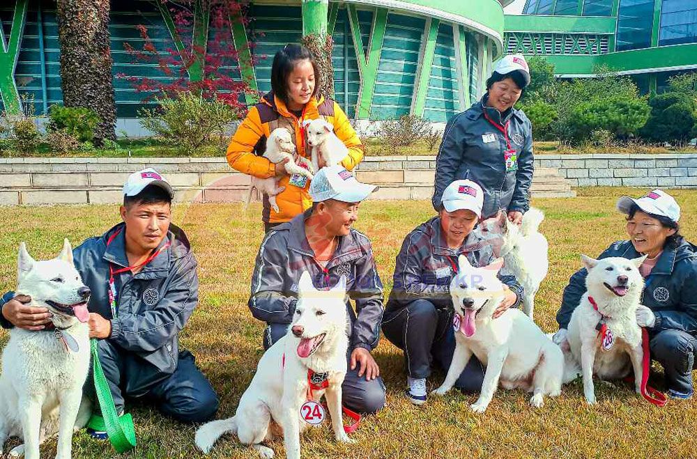 National-dog Phungsan Show Held