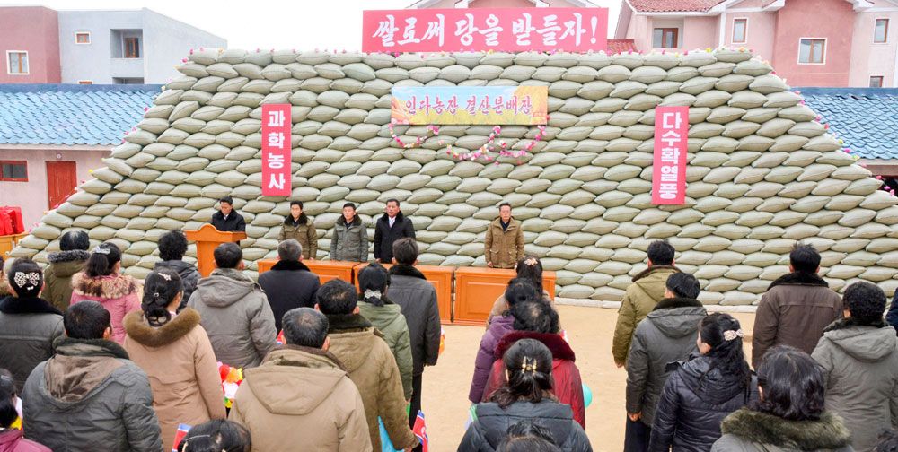 New Houses Built at Farms in South Hamgyong Province - Image 5