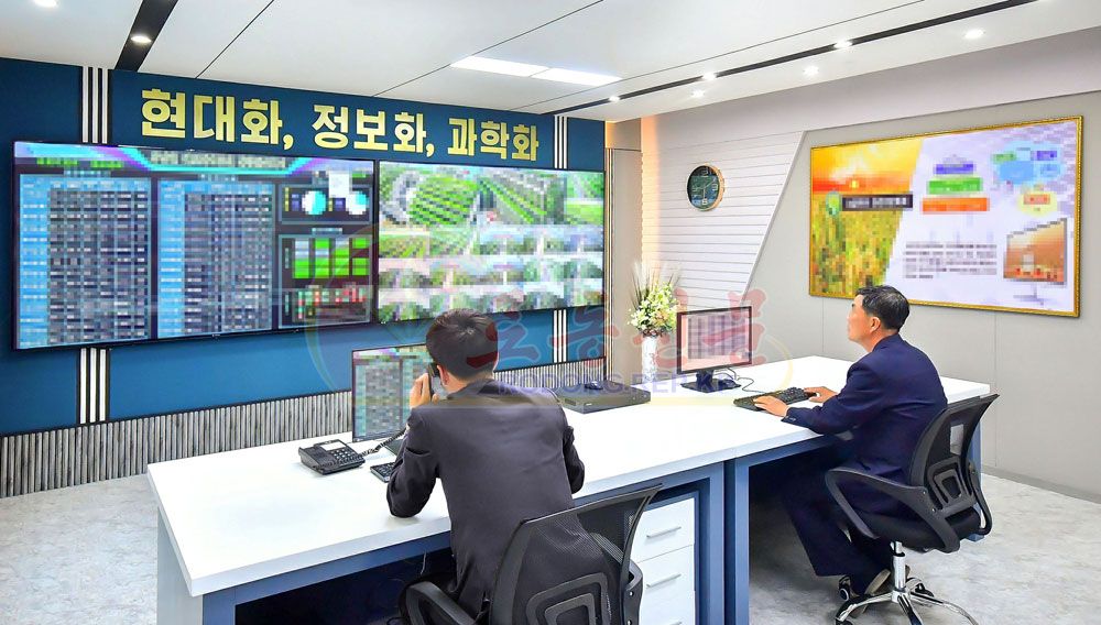 Large-capacity Greenhouses for Cultivating Rice Seedlings Built in Kangnam County of DPRK - Image 2