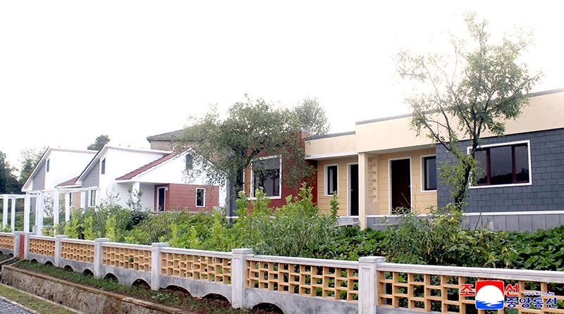 New houses built at farms of North Hwanghae Province - Image 2