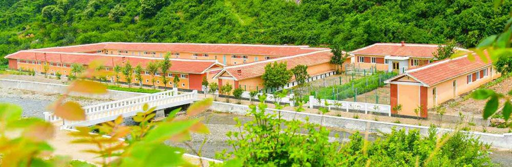 Output of Dairy Products Boosted in Pyongyang