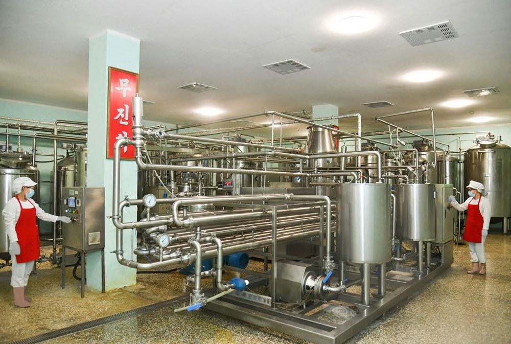Output of Dairy Products Boosted in Pyongyang - Image 5