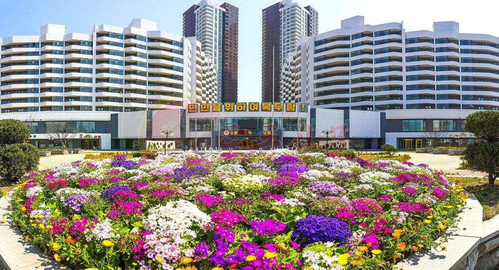 Capital City Full of Flower Fragrance - Image 5