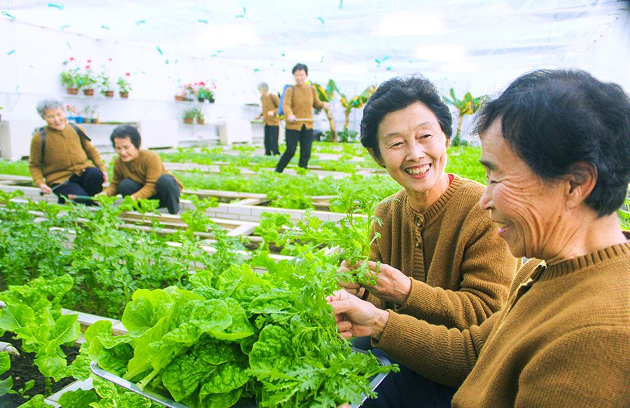 This Is Our Home - Image 6