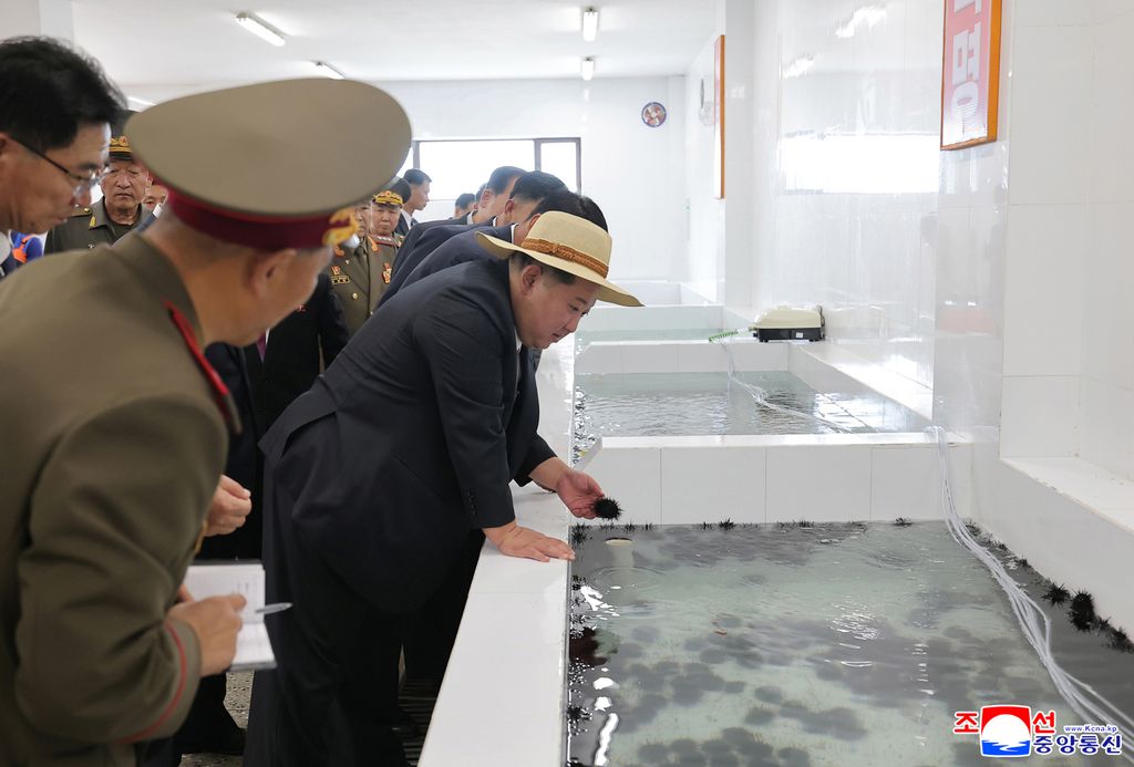 Another spectacular fairyland on east coast in new era of regional developmentInaugural ceremony of Ragwon County Offshore Farm takes place with splendour - Image 13