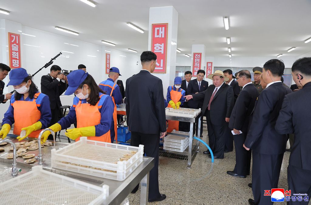 Another spectacular fairyland on east coast in new era of regional developmentInaugural ceremony of Ragwon County Offshore Farm takes place with splendour - Image 2