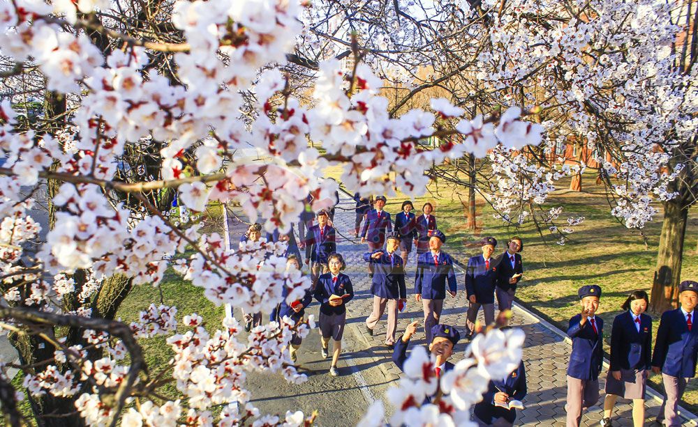 Capital City Full of Flower Fragrance - Image 2