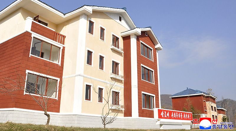 New houses built in rural villages of Ryanggang Province - Image 3