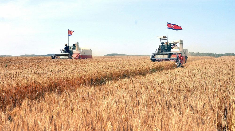 Success in Introducing Mechanization into Agriculture on Comprehensive Scale - Image 7