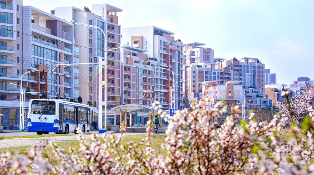 Capital City Full of Flower Fragrance - Image 6